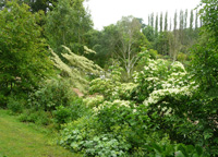 photo Sasnières